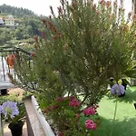 Casa Caldas 컨트리하우스 칼데라스