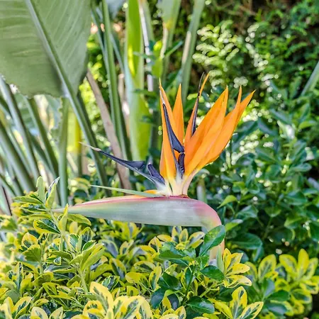 Casa Caldas 卡德拉斯