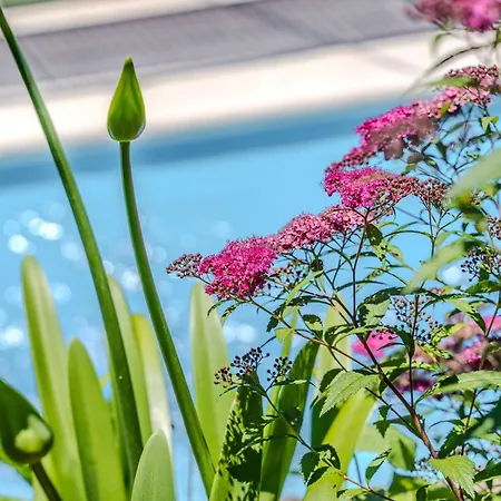 Casa Caldas 卡德拉斯