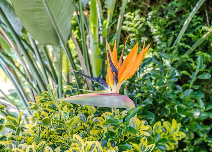 Casa Caldas 칼데라스