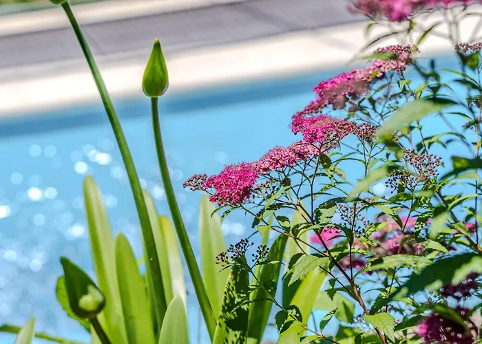 Casa Caldas Caldelas