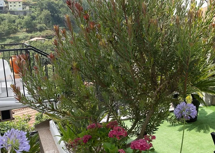 Casa Caldas Kır Evi Caldelas